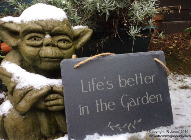 yoda in the snow and plaque Life's better in the Garden - copyright R Jones 2016