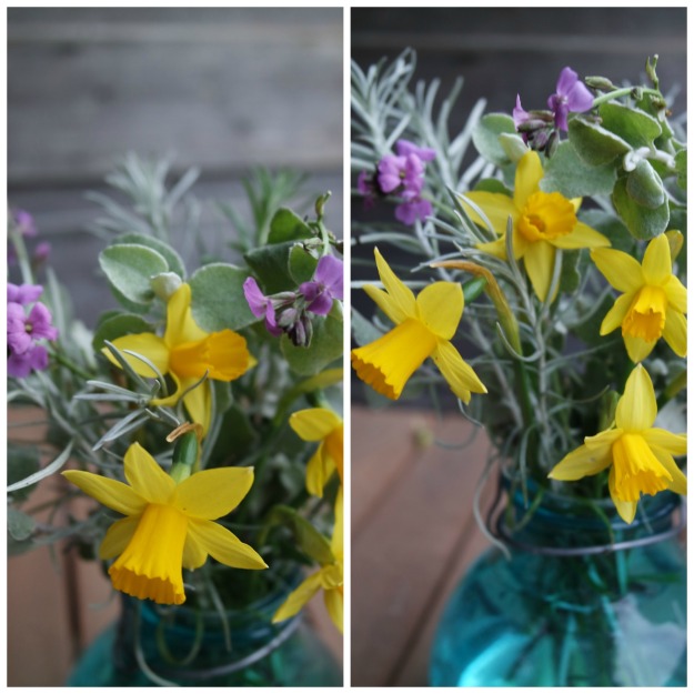 Collage 2016-02-22 daffodils