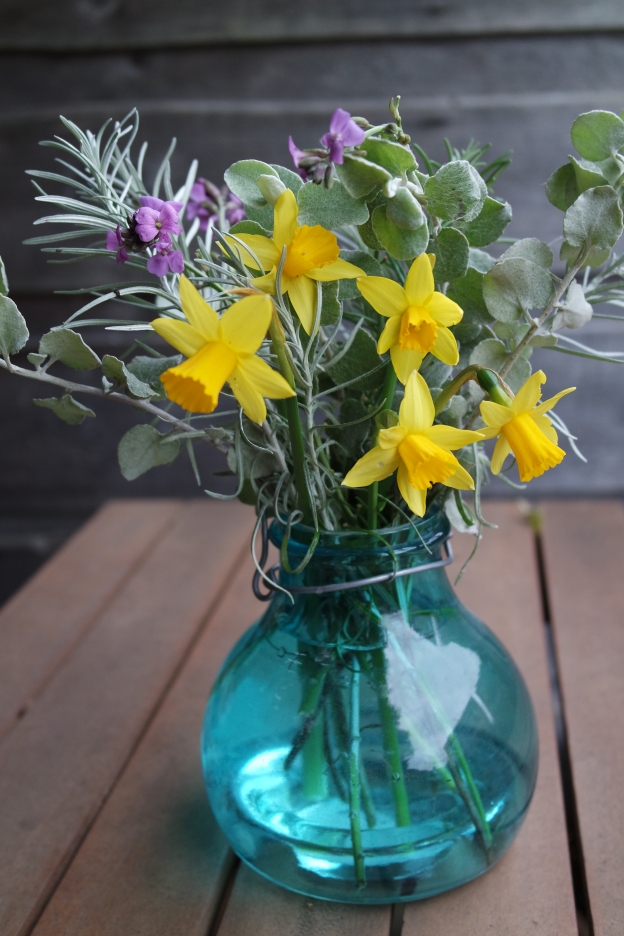 In a vase on monday - daffodils, wallflowers, helicrysom, curry plant and rosemary - 22 February 2016