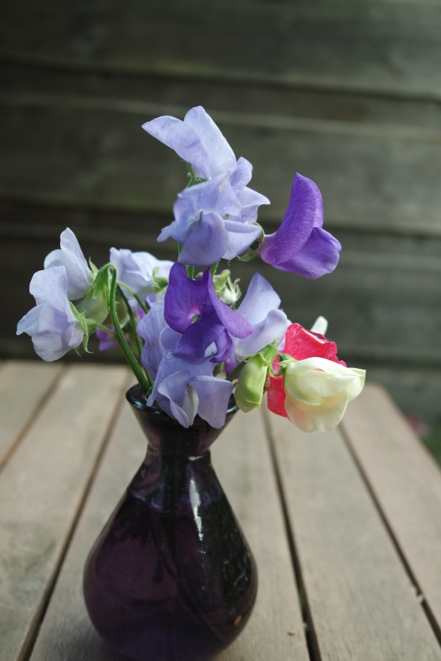 Sweet peas and Purple glass vase from Eden Centre